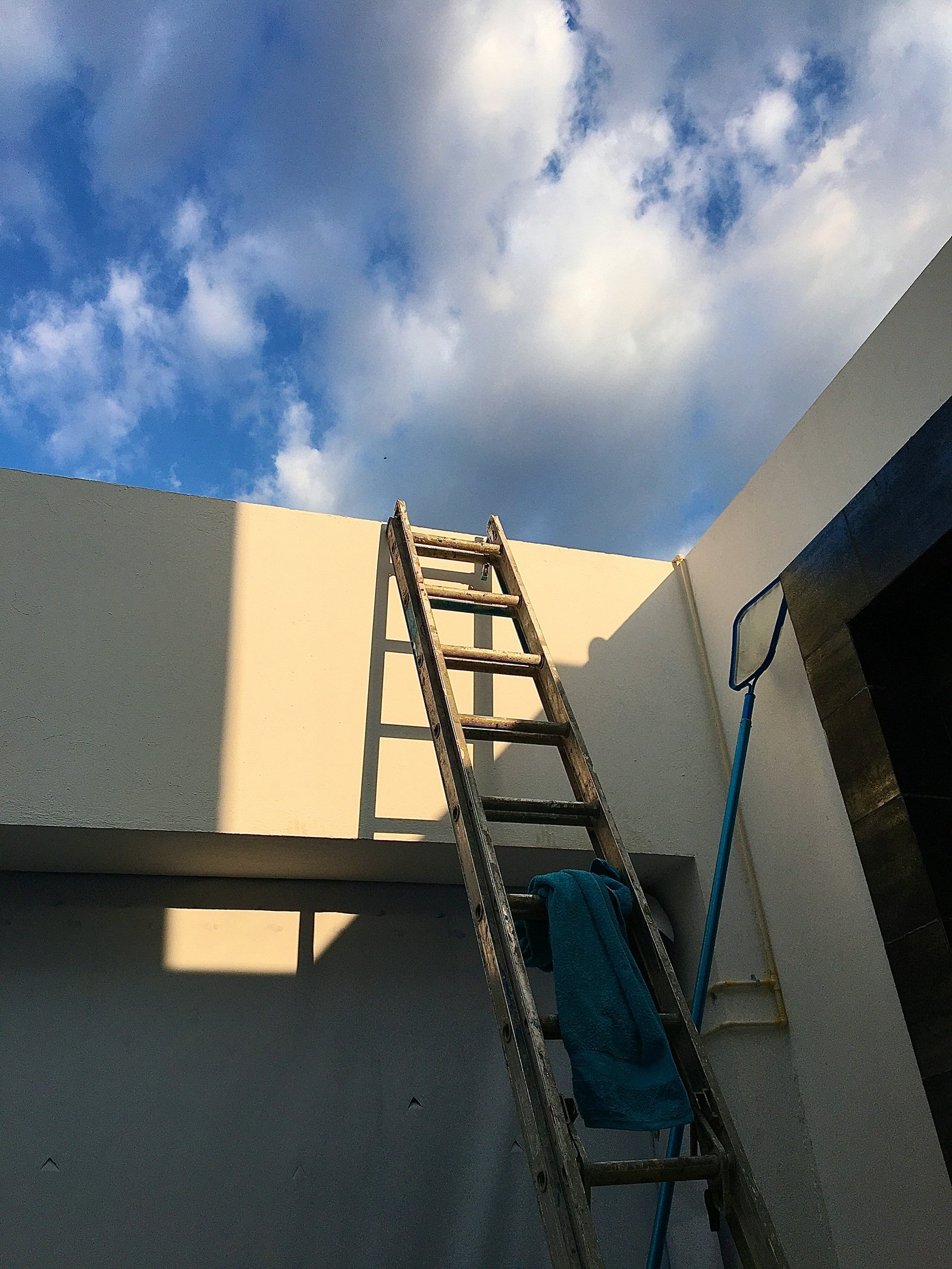 Trabalho em andamento